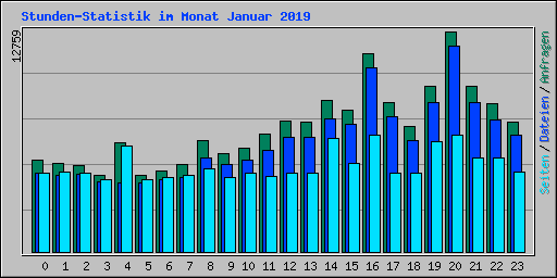 Stunden-Statistik im Monat Januar 2019