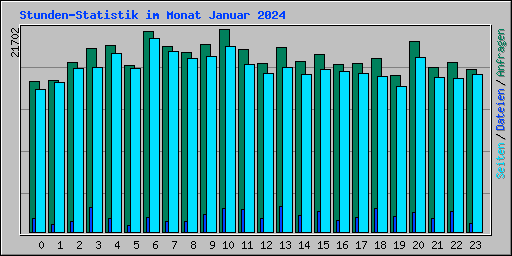 Stunden-Statistik im Monat Januar 2024