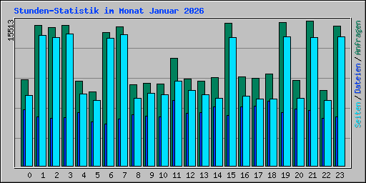 Stunden-Statistik im Monat Januar 2026