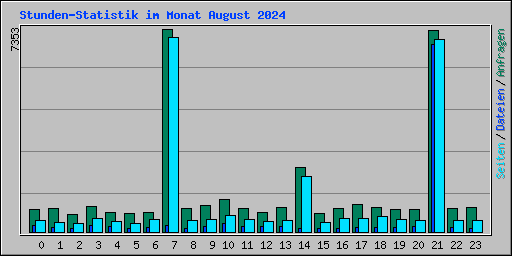 Stunden-Statistik im Monat August 2024