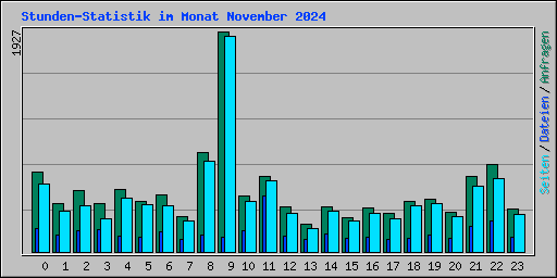 Stunden-Statistik im Monat November 2024