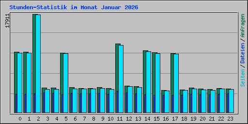 Stunden-Statistik im Monat Januar 2026