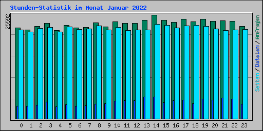 Stunden-Statistik im Monat Januar 2022