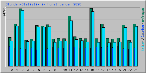 Stunden-Statistik im Monat Januar 2026