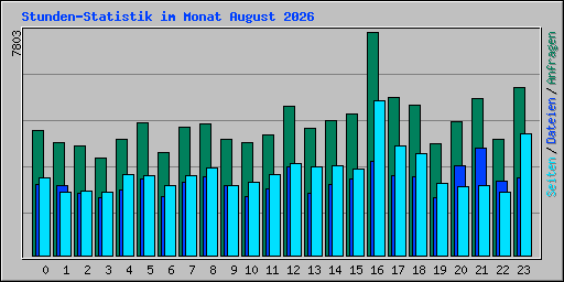 Stunden-Statistik im Monat August 2026