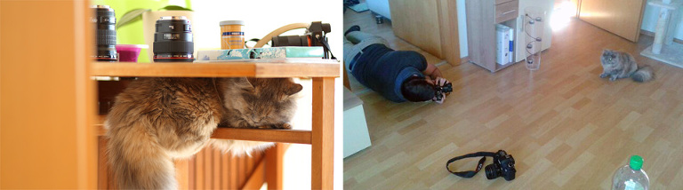 altAmRJ5tpppB-rpjFnWYaG3waxukBK-MGVSTtRcLDXz5dL