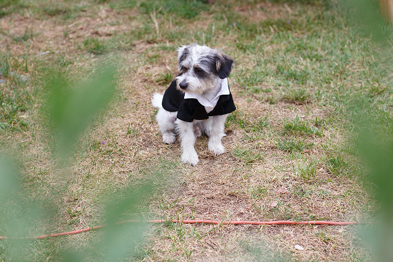 Hochzeit_Ina_Ricardo_021